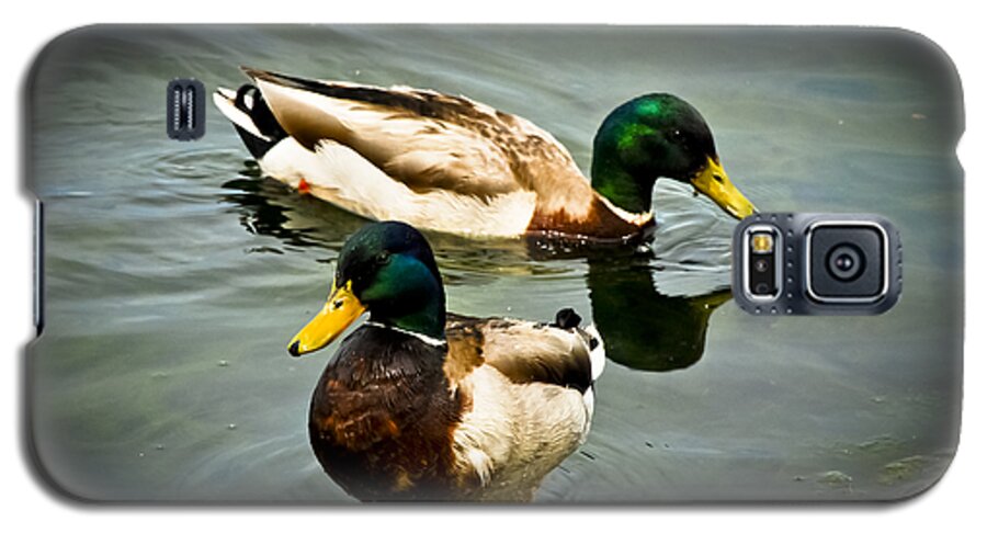 Avian Galaxy S5 Case featuring the photograph Mallards on Mendota by Christi Kraft