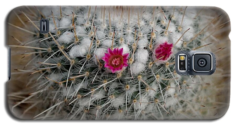 Growth Galaxy S5 Case featuring the photograph Mammillaria Geminispina by Scott Lyons