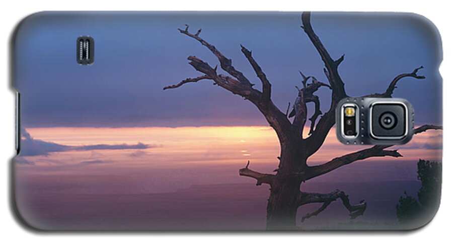 Arizona Galaxy S5 Case featuring the photograph Marble View Snag by Tom Daniel