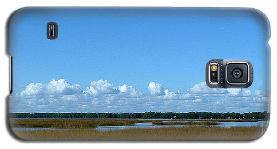 Marsh Galaxy S5 Case featuring the photograph Marsh in Panacea Florida by Audrey Peaty