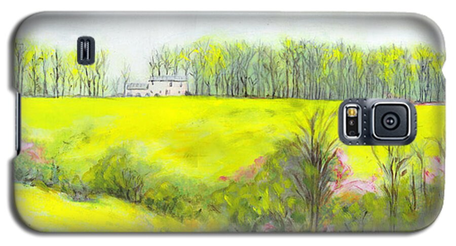 Maryland Galaxy S5 Case featuring the painting Maryland Landscape Springtime Rt40 East Original Painting by G Linsenmayer