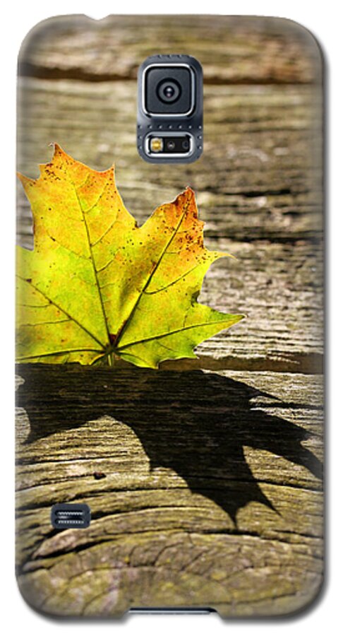 Leaf Galaxy S5 Case featuring the photograph Me and my Shadow 2 by Mary Bedy