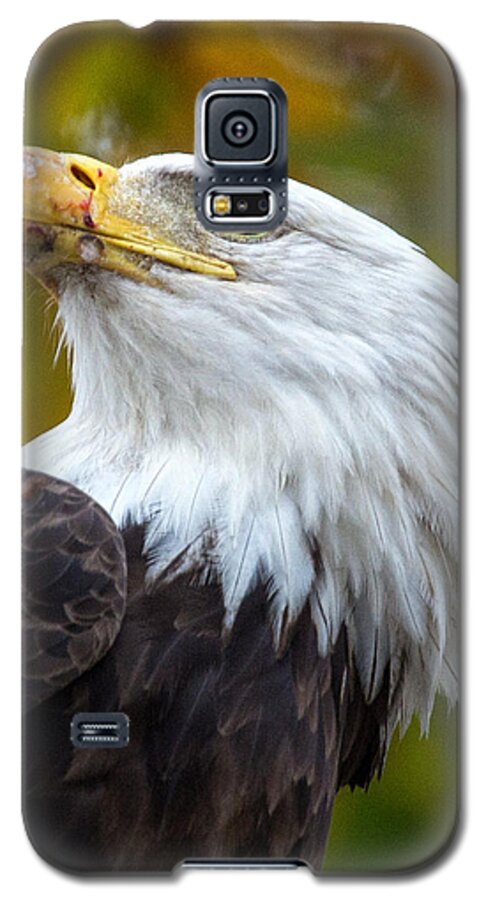 Eagle Galaxy S5 Case featuring the photograph Meal Interrupted by Alan Raasch