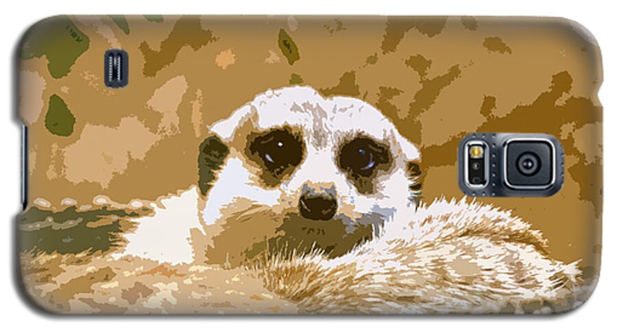 Meerkat Galaxy S5 Case featuring the photograph Meerkat by Carol McCarty