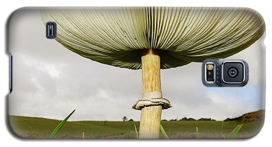 Mushroom Galaxy S5 Case featuring the photograph Mega Mushroom IV by Diane Enright