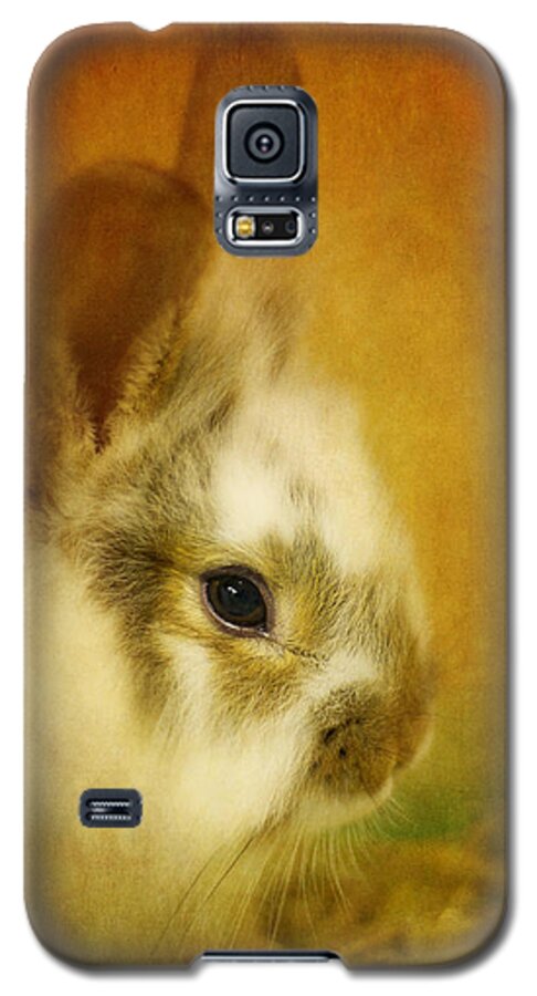 Rabbit Galaxy S5 Case featuring the photograph Memories of Watership Down by Lois Bryan