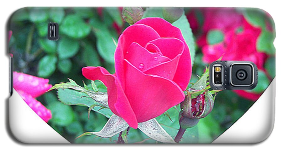 Rose Galaxy S5 Case featuring the photograph Memory of a Mother's Love by Pamela Hyde Wilson
