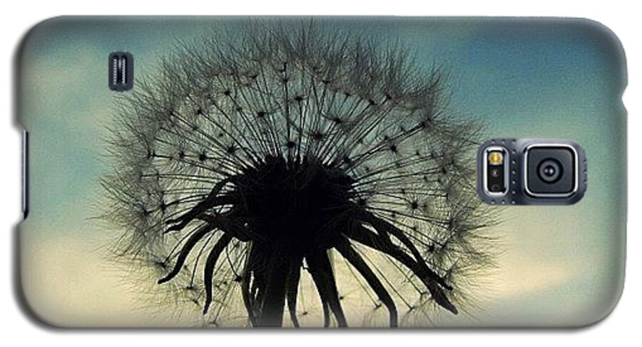 Life Galaxy S5 Case featuring the photograph #mgmarts #dandelion #weed #sunset #sun by Marianna Mills