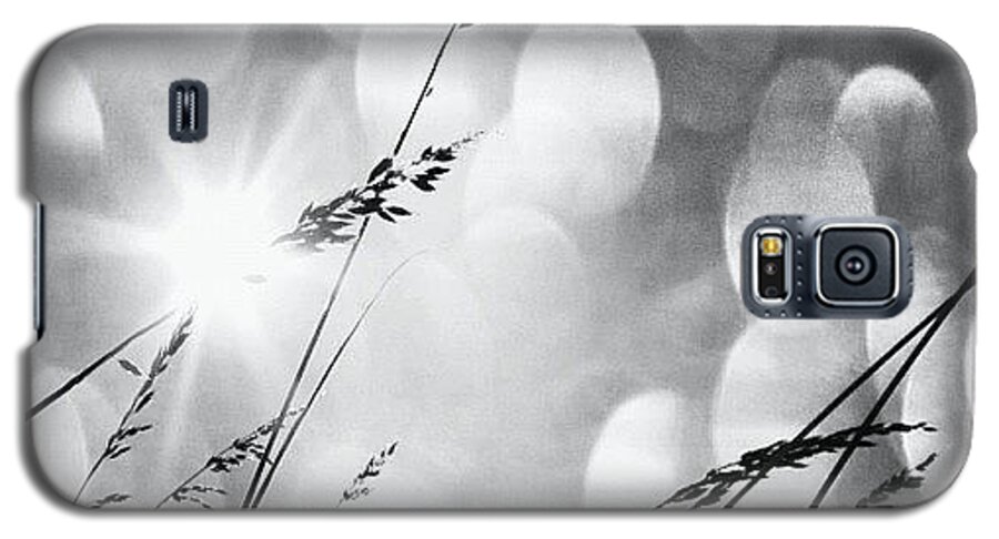 Life Galaxy S5 Case featuring the photograph #mgmarts #grass #weed #wind #field by Marianna Mills