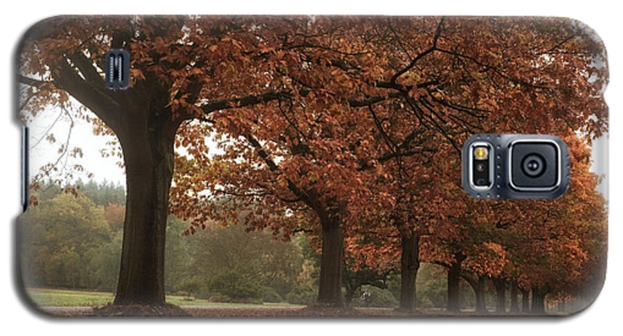 Landscape Galaxy S5 Case featuring the photograph Misty colours of Autumn by Shirley Mitchell