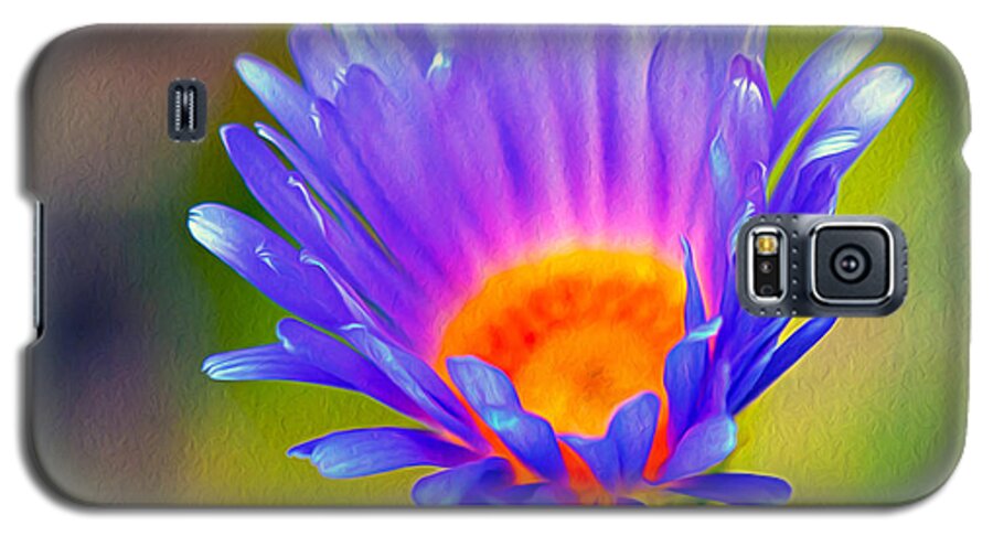 Pollen Galaxy S5 Case featuring the photograph Mojave Aster by Joe Schofield