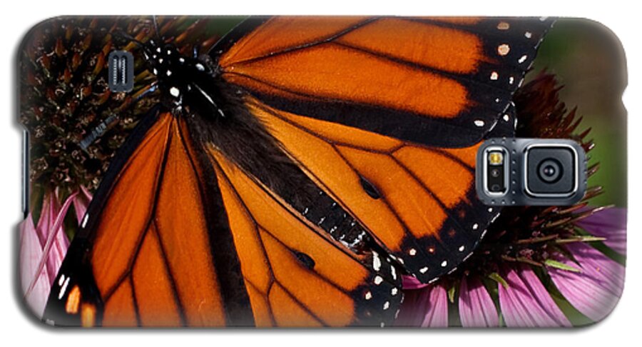 Monarch Galaxy S5 Case featuring the photograph Monarch on Purple Coneflower by Barbara McMahon