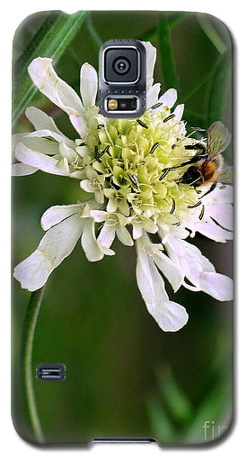 Monet Galaxy S5 Case featuring the photograph Monet's Garden Bee. Giverny by Jennie Breeze