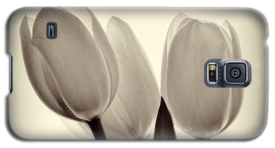 Flower Galaxy S5 Case featuring the photograph Monochrome Tulips with Vignette by Phyllis Meinke