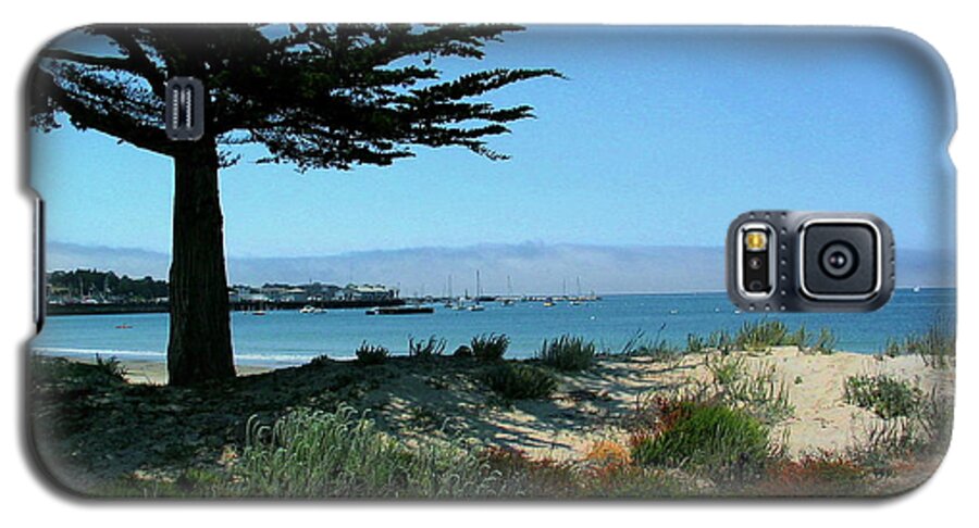 Monterey Galaxy S5 Case featuring the photograph Monterey Dunes by Derek Dean