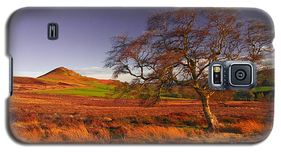 Tree Galaxy S5 Case featuring the photograph Moorland Tree North Yorkshire by Martyn Arnold