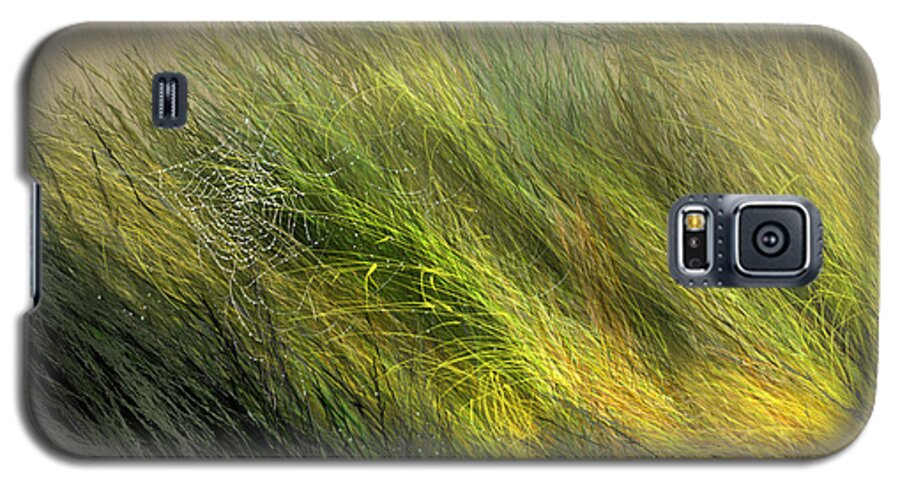 Landscape Galaxy S5 Case featuring the digital art Morning Dew Drops by Aaron Blaise