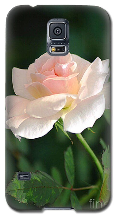 Rose Galaxy S5 Case featuring the photograph Morning Has Broken by Living Color Photography Lorraine Lynch