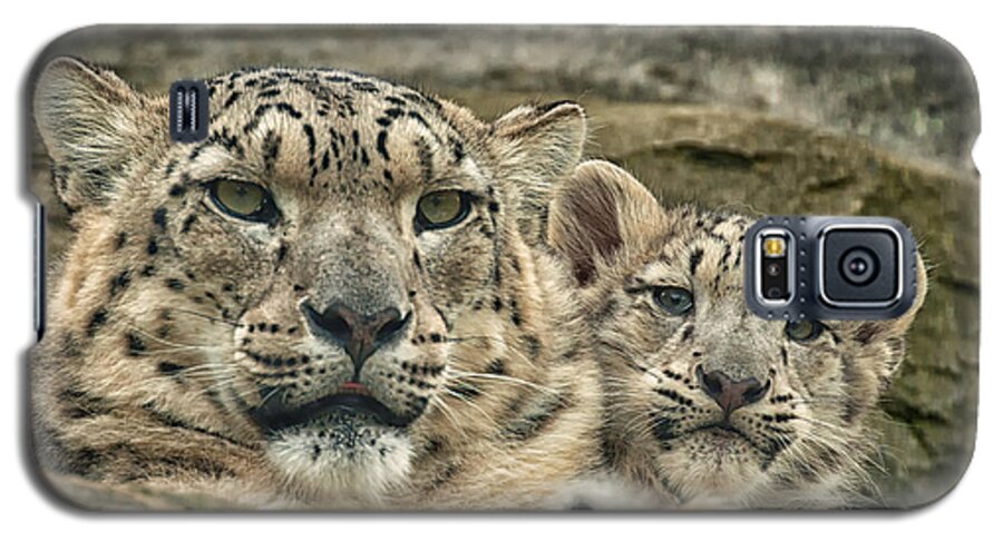 Marwell Galaxy S5 Case featuring the photograph Mother and cub by Chris Boulton