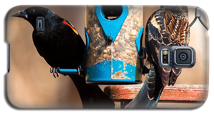 Red Winged Blackbird Galaxy S5 Case featuring the photograph Mr. and Mrs. Red Winged Blackbird by Robert L Jackson