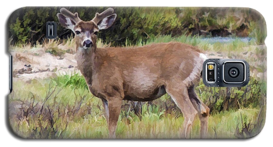 Mule Deer Galaxy S5 Case featuring the digital art Mule Deer in Early Velvet by L J Oakes