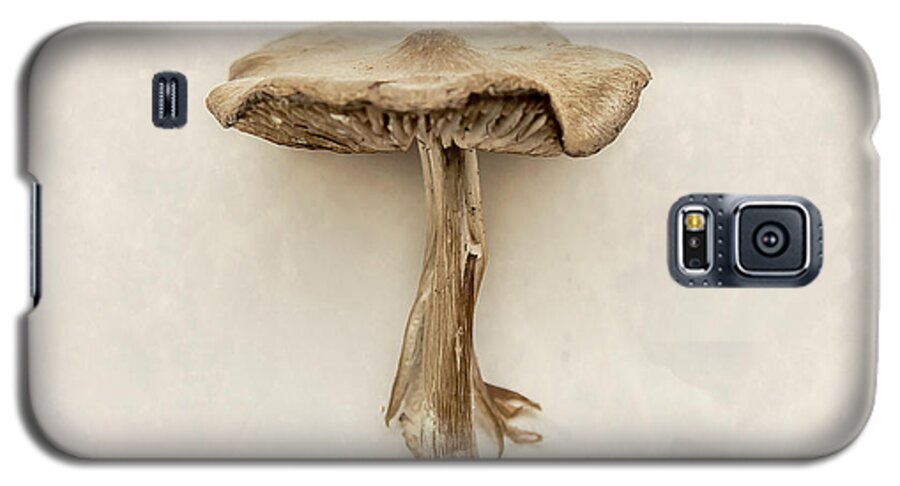 Square Galaxy S5 Case featuring the photograph Mushroom by Lucid Mood