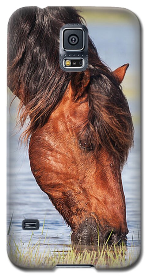 Wild Galaxy S5 Case featuring the photograph Mustang Feeding in the Marsh by Bob Decker