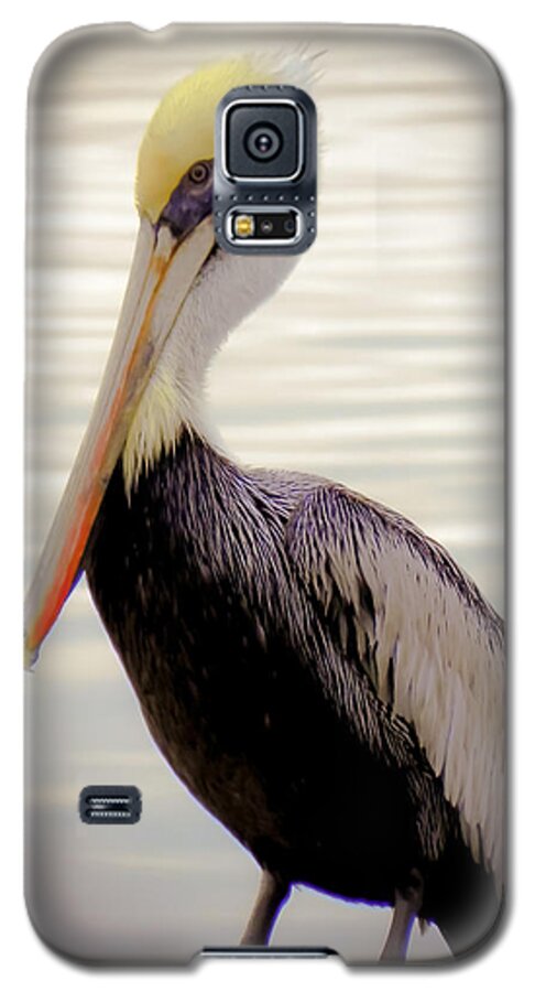 Bird Galaxy S5 Case featuring the photograph My Visitor by Karen Wiles