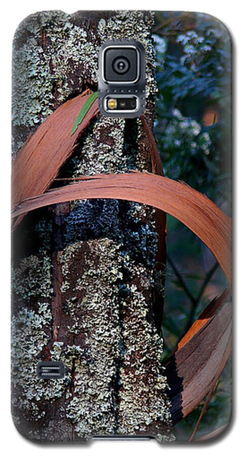 Eucalypt Galaxy S5 Case featuring the photograph Natural Bands 1 by Evelyn Tambour
