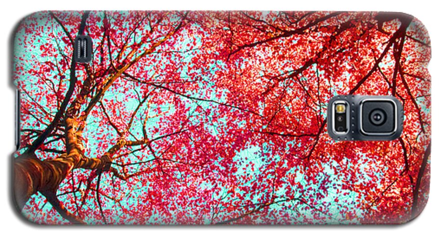 Abstract Galaxy S5 Case featuring the photograph Abstract Red Blue Nature Photography #2 by Nadja Drieling - Flower- Garden and Nature Photography - Art Shop