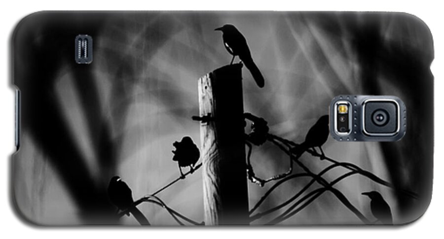 Birds Galaxy S5 Case featuring the photograph Nature in the Slums by Jessica S