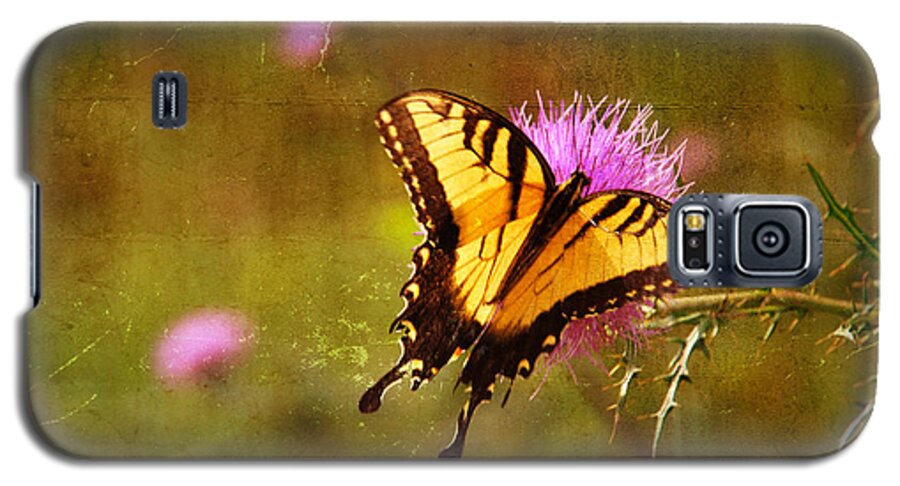 Butterfly Galaxy S5 Case featuring the photograph Natures Beauty by Linda Segerson