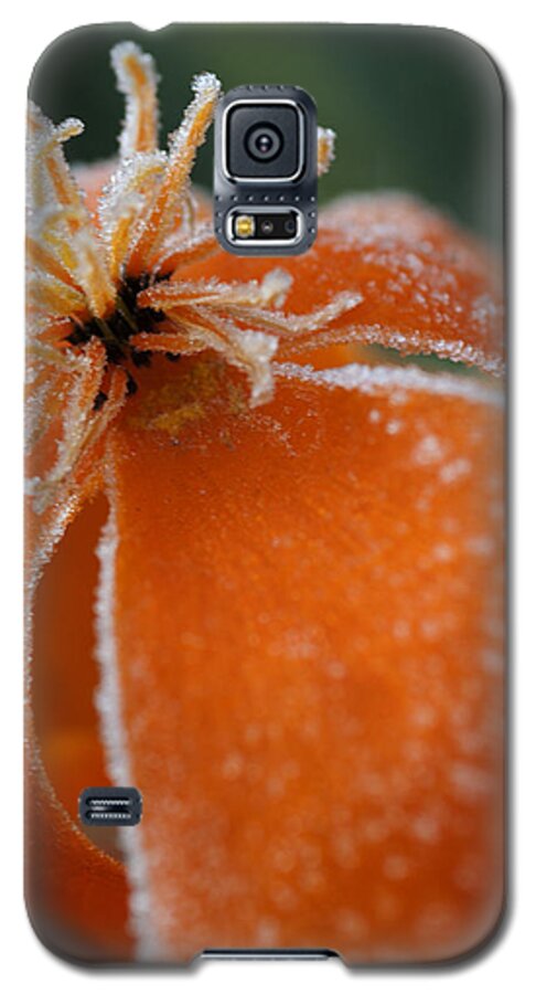 Frost Galaxy S5 Case featuring the photograph Natures Frost by Miguel Winterpacht