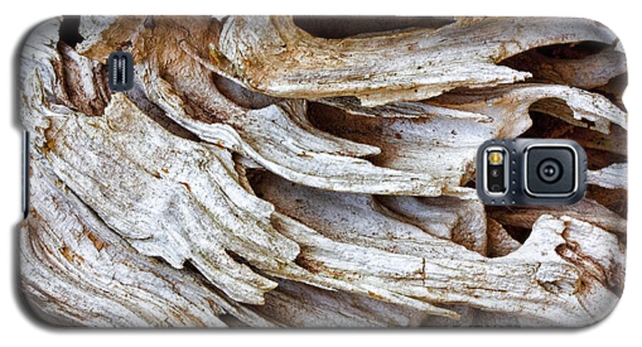 Driftwood Galaxy S5 Case featuring the photograph Nature's Sculpture-3 by Shirley Mitchell