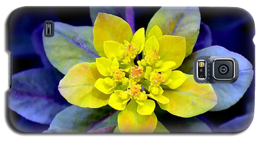 Flower Galaxy S5 Case featuring the photograph Nature's Splendor by Deena Stoddard