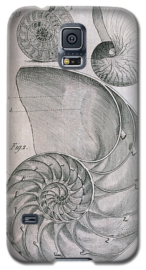 Ammonite Galaxy S5 Case featuring the photograph Nautilus Shells And Ammonite by George Bernard/science Photo Library