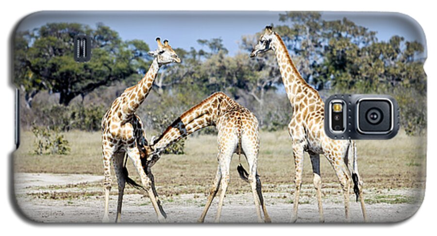 Giraffe Galaxy S5 Case featuring the photograph Necking Giraffes Botswana by Liz Leyden