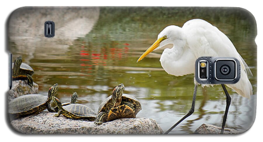 Egret Galaxy S5 Case featuring the photograph New Found Friends by TK Goforth