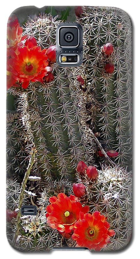 Cactus Galaxy S5 Case featuring the photograph New Mexico cactus by Kurt Van Wagner