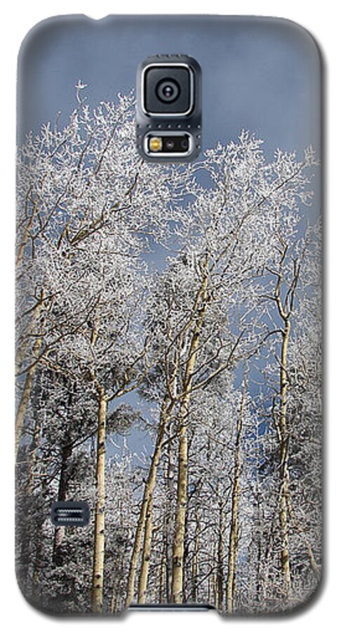 Continental Divide Galaxy S5 Case featuring the photograph New Mexico Divide by Carl Moore