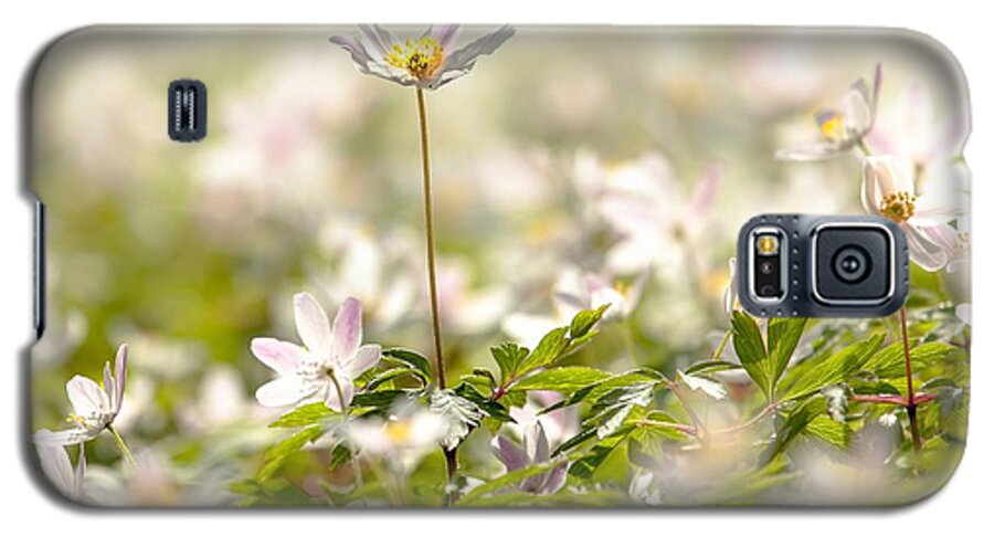 Flower Galaxy S5 Case featuring the photograph New time springtime by Rose-Maries Pictures