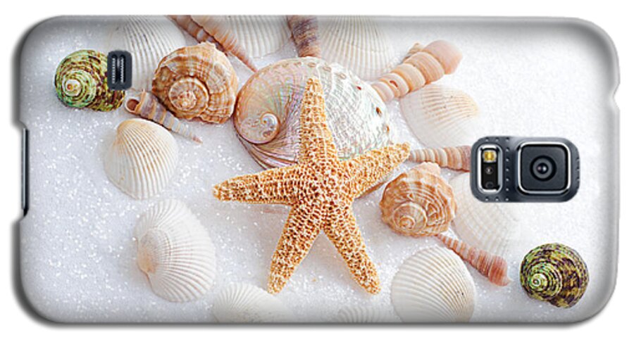  Seashells Galaxy S5 Case featuring the photograph North Carolina Sea Shells by Andee Design