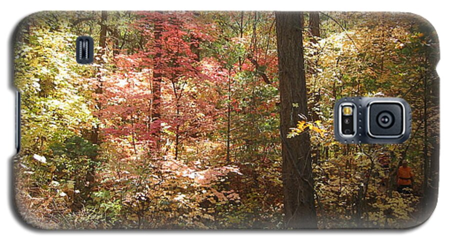 Oak Creek Galaxy S5 Case featuring the photograph Oak Creek Arizona Fall Foliage by Angela Bushman