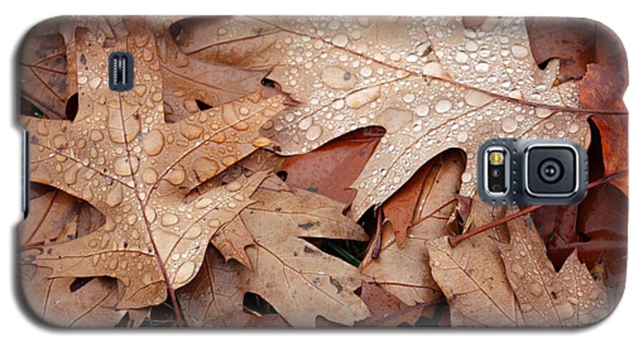 Nature Galaxy S5 Case featuring the photograph Oak Leaves and Rain Drops by Gerry Bates