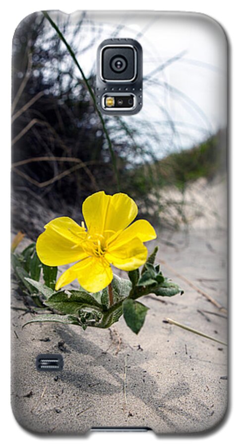 Landscape Galaxy S5 Case featuring the photograph On the path by Sennie Pierson