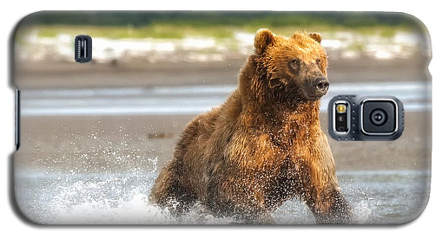Crystal Yingling Galaxy S5 Case featuring the photograph On the Run by Ghostwinds Photography