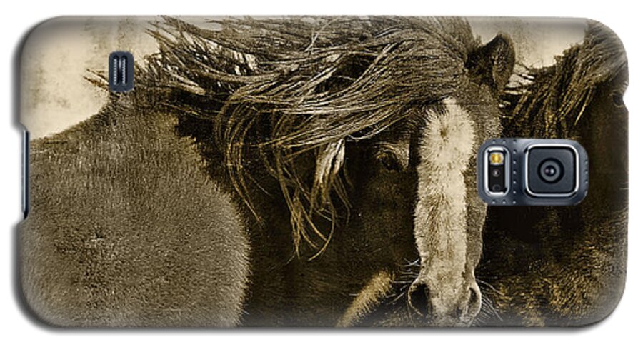 Pony Galaxy S5 Case featuring the photograph Winds of Time by Amanda Smith