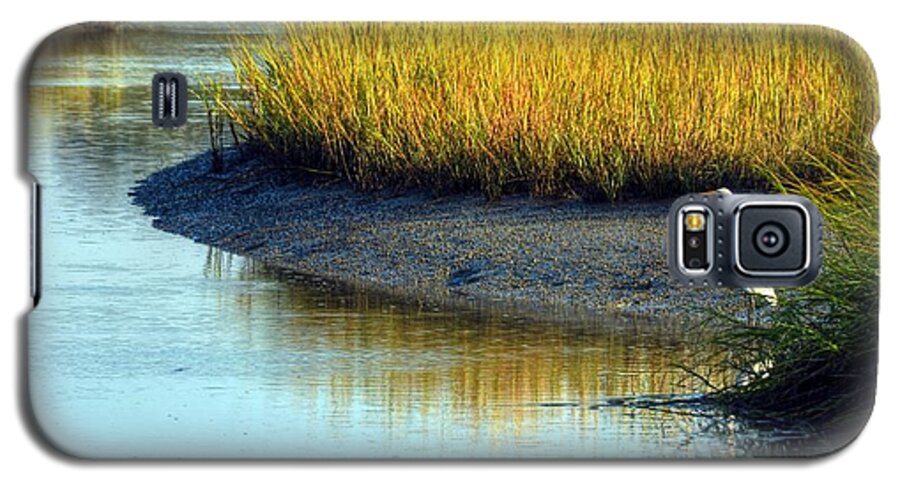 Egrets Galaxy S5 Case featuring the photograph One With Nature by Mel Steinhauer
