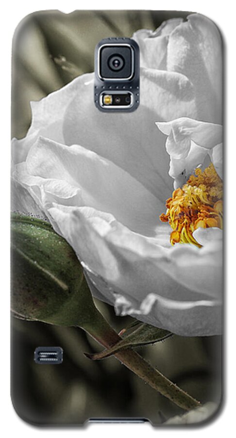  Galaxy S5 Case featuring the photograph Open Your Heart by Maria Robinson