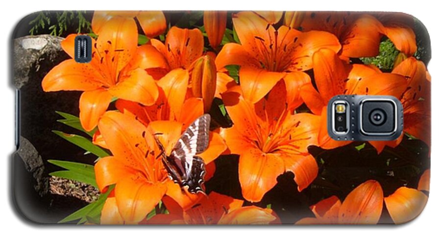 Lily Galaxy S5 Case featuring the photograph Orange Lilies by Sharon Duguay